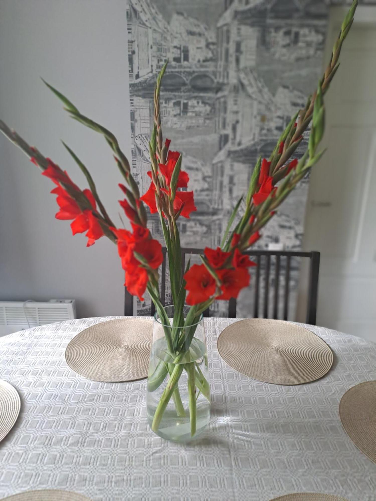 Kica Kroga Apartaments Ainaži Exteriér fotografie